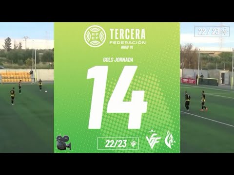 Resum Gols Tercera Grup VI Jornada 14