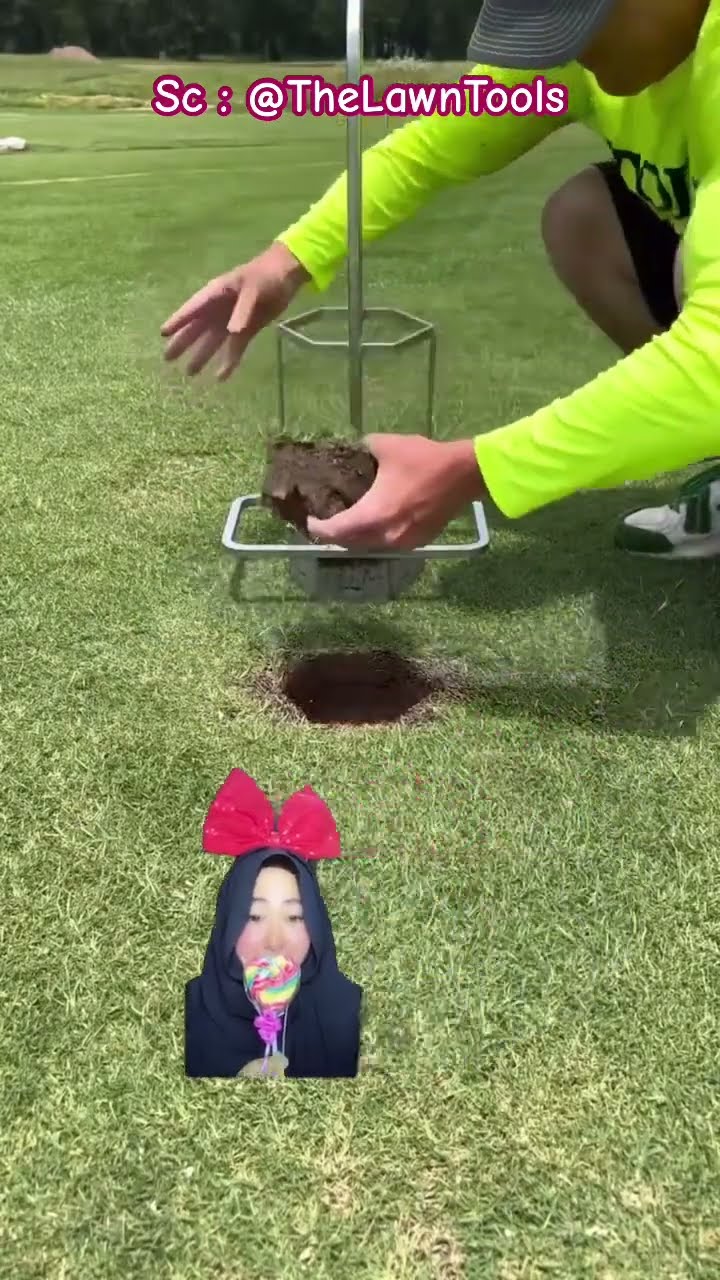 ?⁉️ REPARASI RUMPUT ⁉️? @TheLawnTools #shorts #funny #dubbing