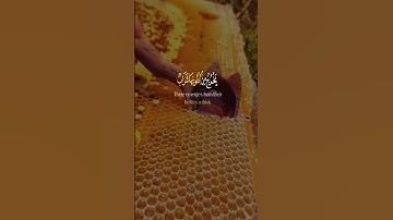 #تلاوات #قرآن #Quran #رائد_الكردي