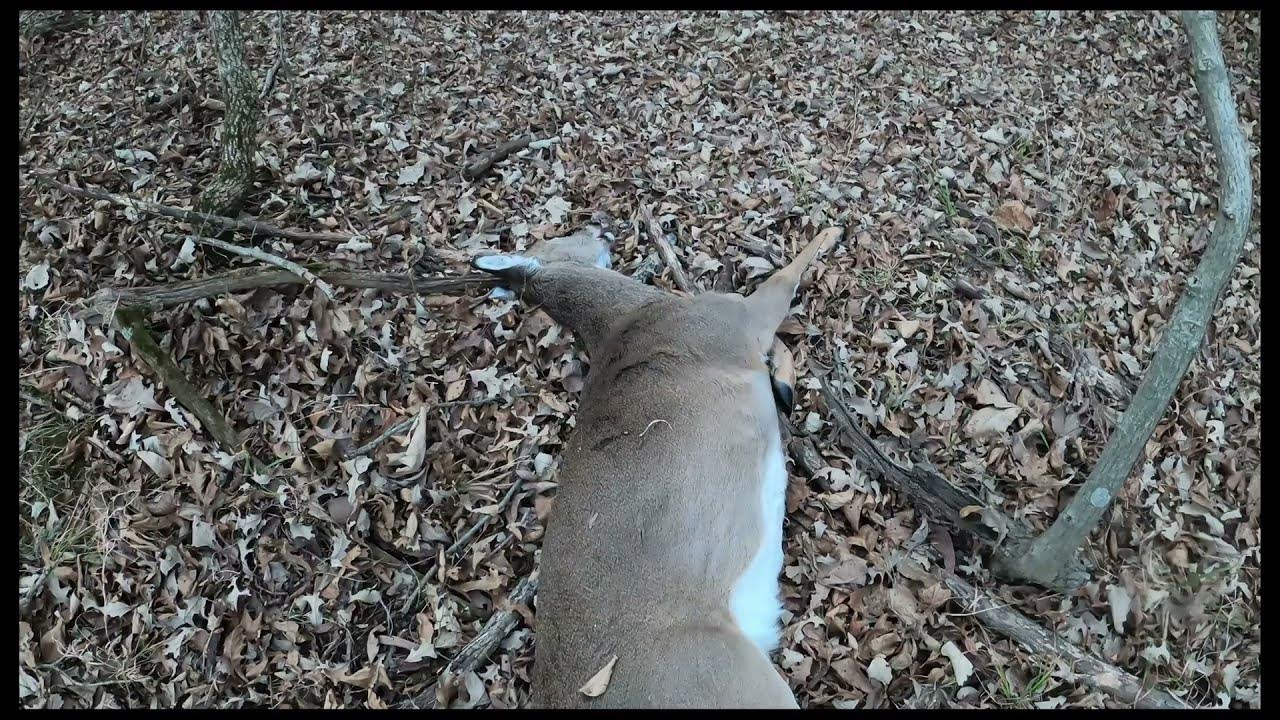 Muzzleloader Nebraska Dec 2021 Cap and ball black powder deer hunt
