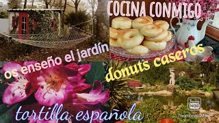 Blog | COCINAMOS JUNTOS RECETA  DONUTS CASEROS Y TORTILLA ESPAÑOLA| OS ENSEÑO EL JARDÍN