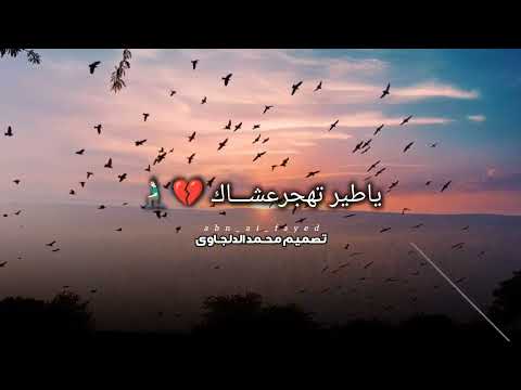 ياطير تهجر عشاك تريند العرب الفنان احميدة الفايدي