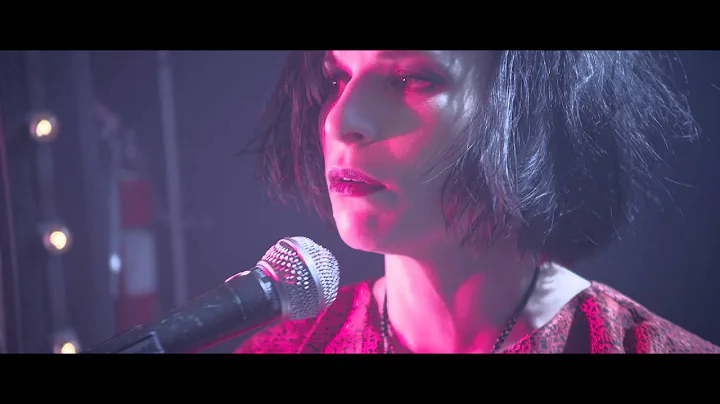 Weeknight - In The Dust (Official Video)