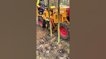 Digging up trees: machine transplanting trees