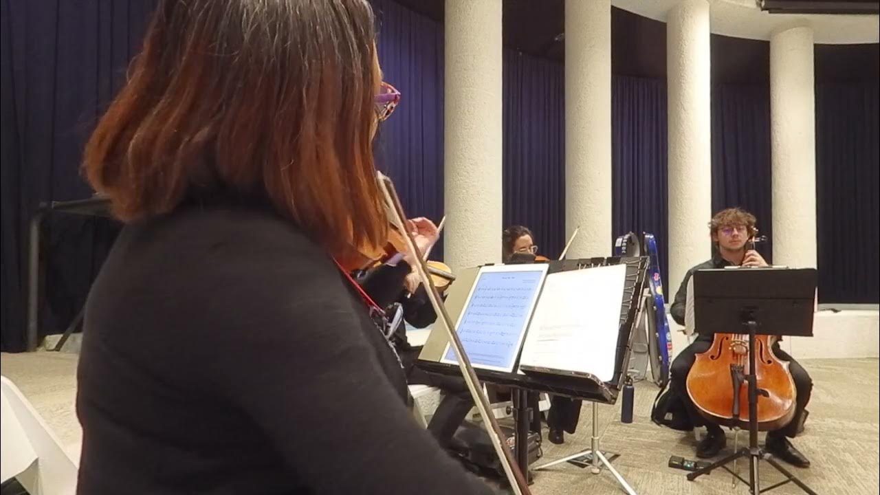 Stand By Me by Ben E King String Quartet Cover by Serenata Strings