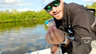 The BEST way to catch BIG snook - Cut Bait Fishing