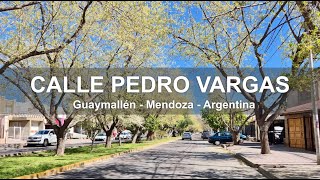 Recorrido Completo por Calle Pedro Vargas - Guaymallén - Mendoza - Argentina