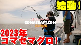 2023年コマセマグロ始動!!（2023/9/26・五エム丸）