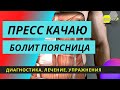 Почему может болеть поясница ? Прямая мышца живота!