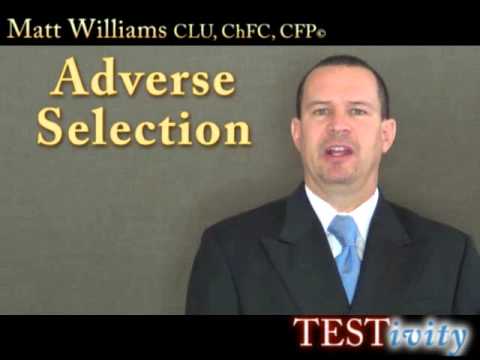 exactly-what-is-on-the-l&h-insurance-license-exam--testivity-video-course-sample.