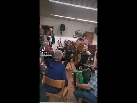 встреча гармонистов в