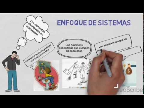 Video: ¿Qué es un enfoque basado en sistemas?