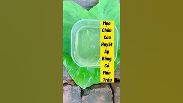 Mẹo trị cao huyết áp bằng cỏ mần trầu
