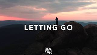 Video thumbnail of "Lilac Kings - Letting Go (Official Stream Video)"