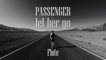 Passenger - Let Her Go - Flute