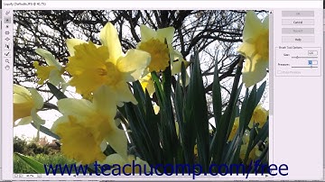 Photoshop Elements 2018 Tutorial The Liquify Command Adobe Training