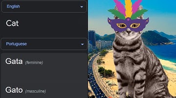 Cat in different languages meme