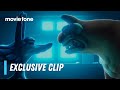 Night Of The Zoopocalypse Exclusive Clip David Harbour Night Of The Zoopocalypse Exclusive Clip David Harbour