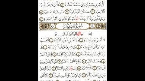 سورة القيامة للشيخ محمد أيوب رحمه الله