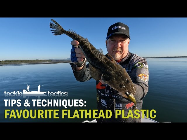 My Favourite Flathead Plastic - How to Catch Flathead on Soft