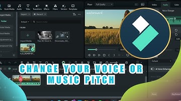 Change Your Voice or Music Pitch in Seconds! 🔊 Filmora 14 Audio Pitch Tutorial