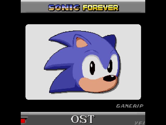 Sonic Forever, Sonic Wiki Zone