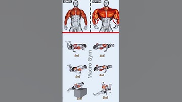 Ultimate Shoulder, Chest & Arm Workout at Home | No Equipment | Full Upper Body Pump | Macro Gym