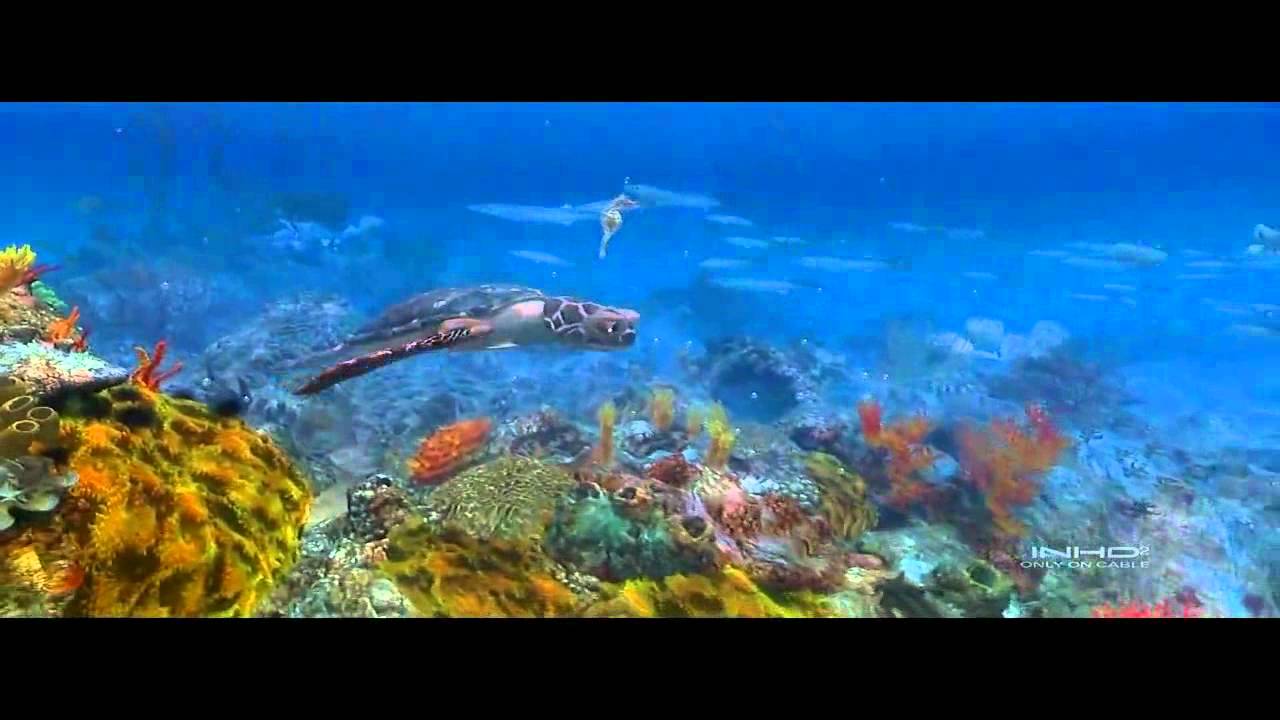 Efteling - Pandadroom HD