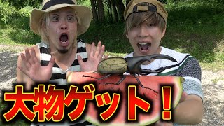 【1番寄ってくるエサは何？】山奥でカブトムシ＆クワガタ大量捕獲！