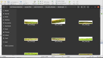 Rice Diseases Classification Using Deep Learning in MATLAB