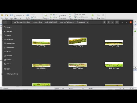 Rice Diseases Classification Using Deep Learning in MATLAB
