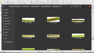 Rice Diseases Classification Using Deep Learning in MATLAB Profile