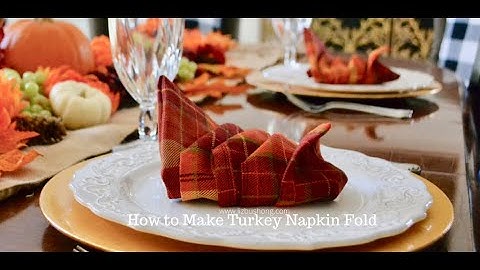 DIY Turkey Napkin Fold  New Design