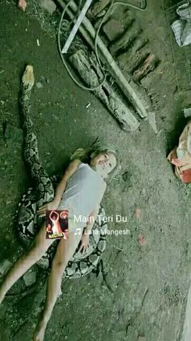 Aulia tidur sama ular