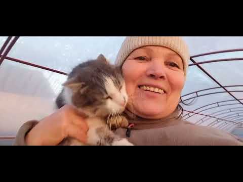 Видео: висадила полуничку в горщики