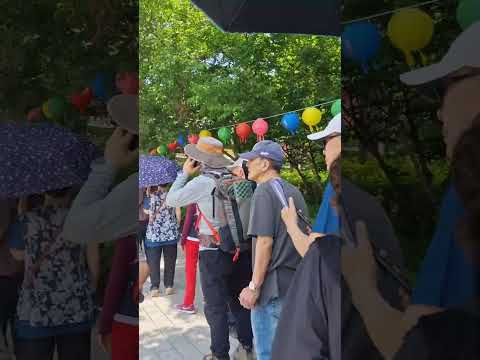 @ 부처님 오신날:@3분 챌린지 | 3 Min Challenge | [Topic], 3分チャレンジ #바이럴 #라이트쇼츠 #3분챌린지 #쇼츠 #kpop #웃긴영상 #반전영상