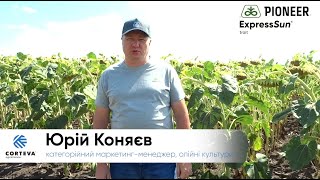 ExpressSun® від Pioneer®  – ТЕХНОЛОГІЯ ВАШОГО УСПІХУ.