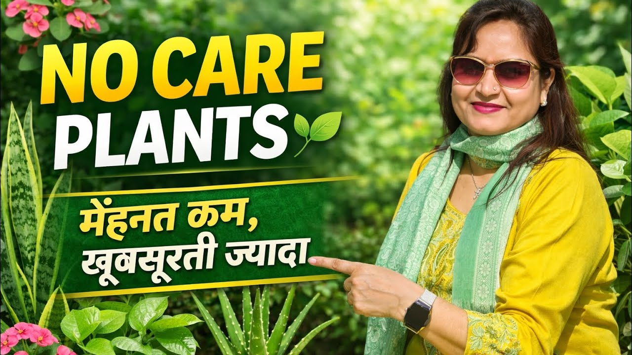 Garden सजाना है बिना मेहनत? ये Plants बिल्कुल Care नहीं मांगते 🌱 Busy लोगों के लिए Best Plants 