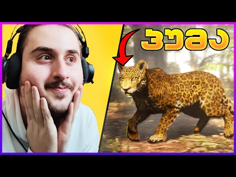 [როგორ ვიპოვე ყველაზე *საშიში* ცხოველი RDR 2-ში]