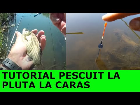 Video: Sfaturi De Pescuit