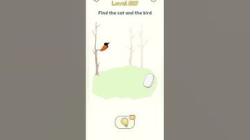 DOP 2 Level 527 Find the cat and their bird