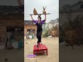 Balancing Act: How a Seesaw Launches Hens in a Village Stunt
