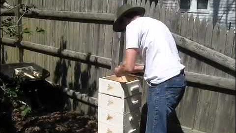 Package install in a modified Warre hive