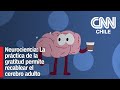 Neurociencia: La práctica de la gratitud permite recablear el cerebro adulto