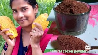 Homemade cocoa powder/natural cocoa powder preparation at home in telugu