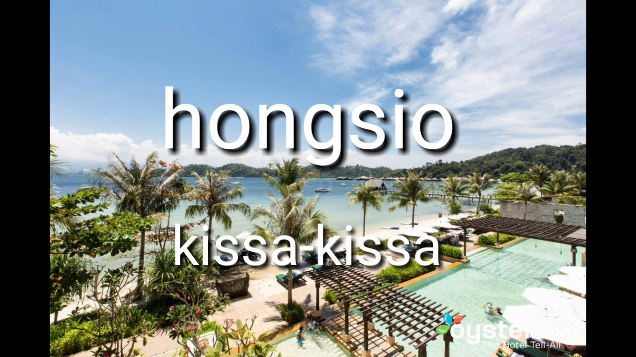 Hongsio - kissa kissa