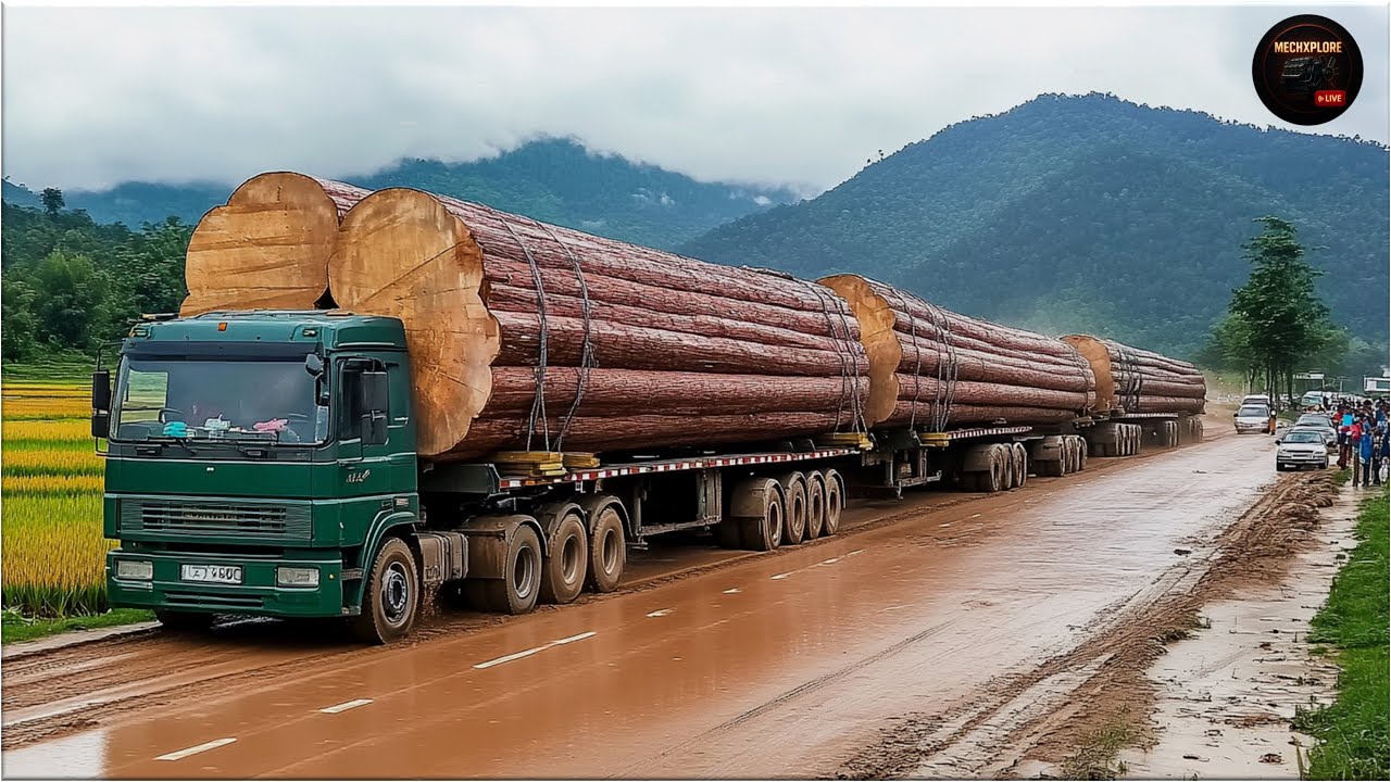 Extreme Logging Trucks | Extreme Dangerous Monster Logging Wood Truck Driving Skill #4