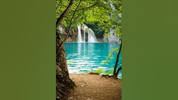 تلاوة خاشعة من سورة الذاريات(القارئ سعود الشريم) 🌴🌴🌿