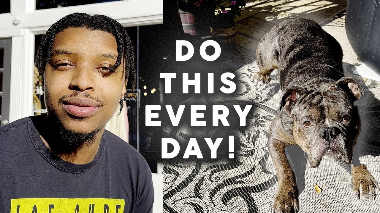5 Things You MUST DO With Your Puppy EVERY DAY YouTube 5-things-you-must-do-with-your-puppy-every-day-youtube
