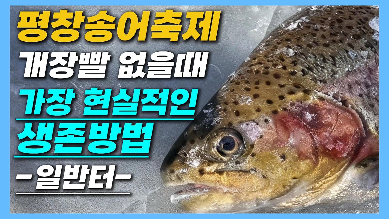 2026평창송어축제 일반터 특별하지 않지만 모르면 안돼요! 필수시청!